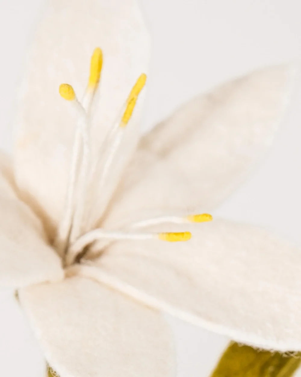 BRANCHE DE LYS - LAINE FEUTREE