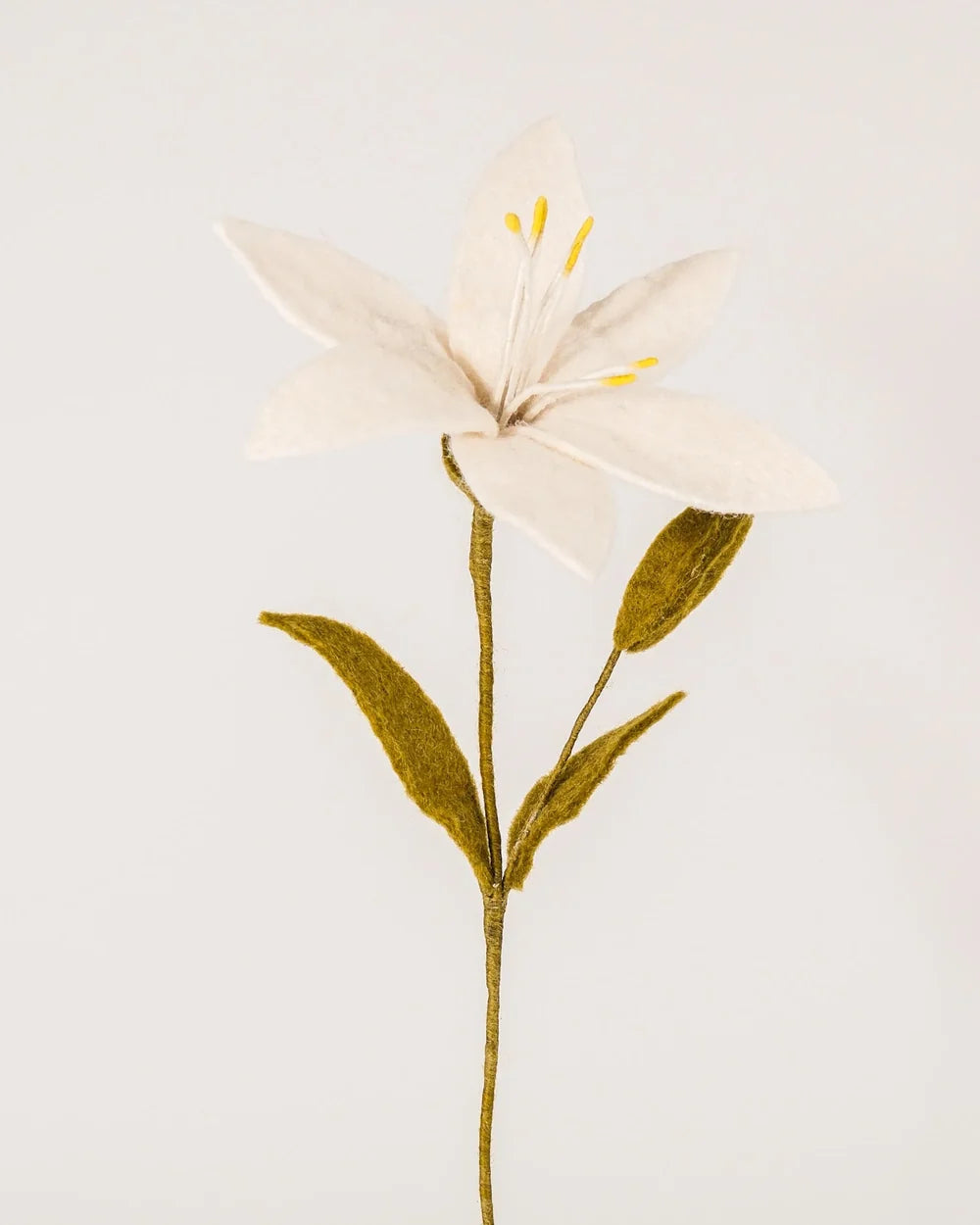 BRANCHE DE LYS - LAINE FEUTREE