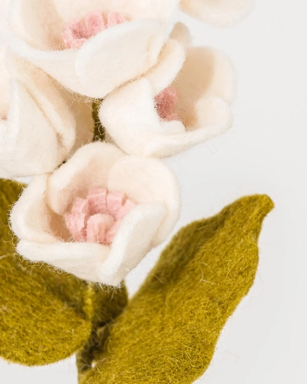 BRANCHE DE ROSE TREMIERE - FEUTRINE BLANCHE