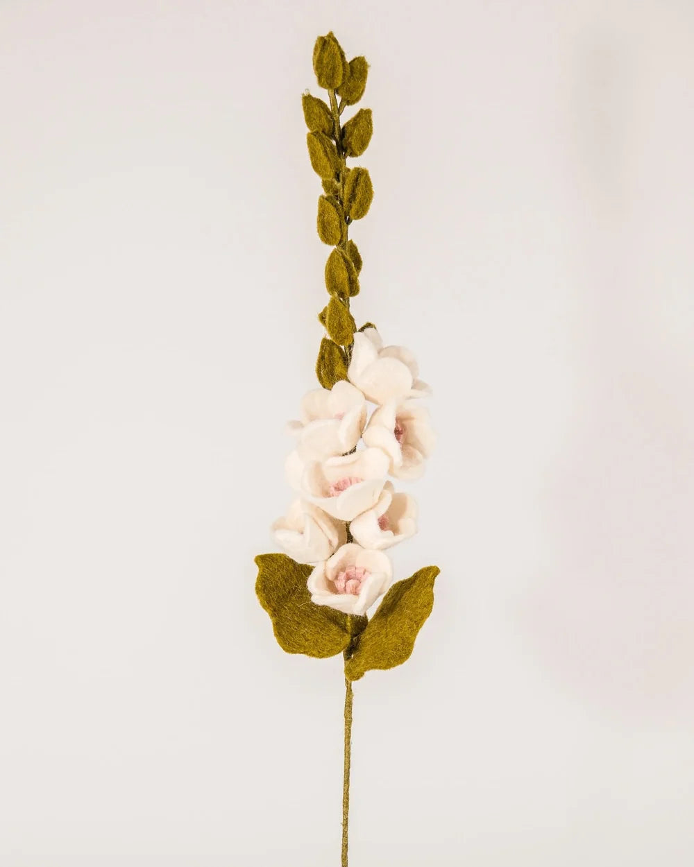 BRANCHE DE ROSE TREMIERE - FEUTRINE BLANCHE