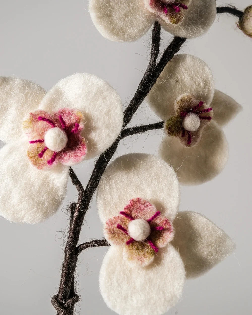 ORCHIDEE - LAINE FEUTREE BLANCHE