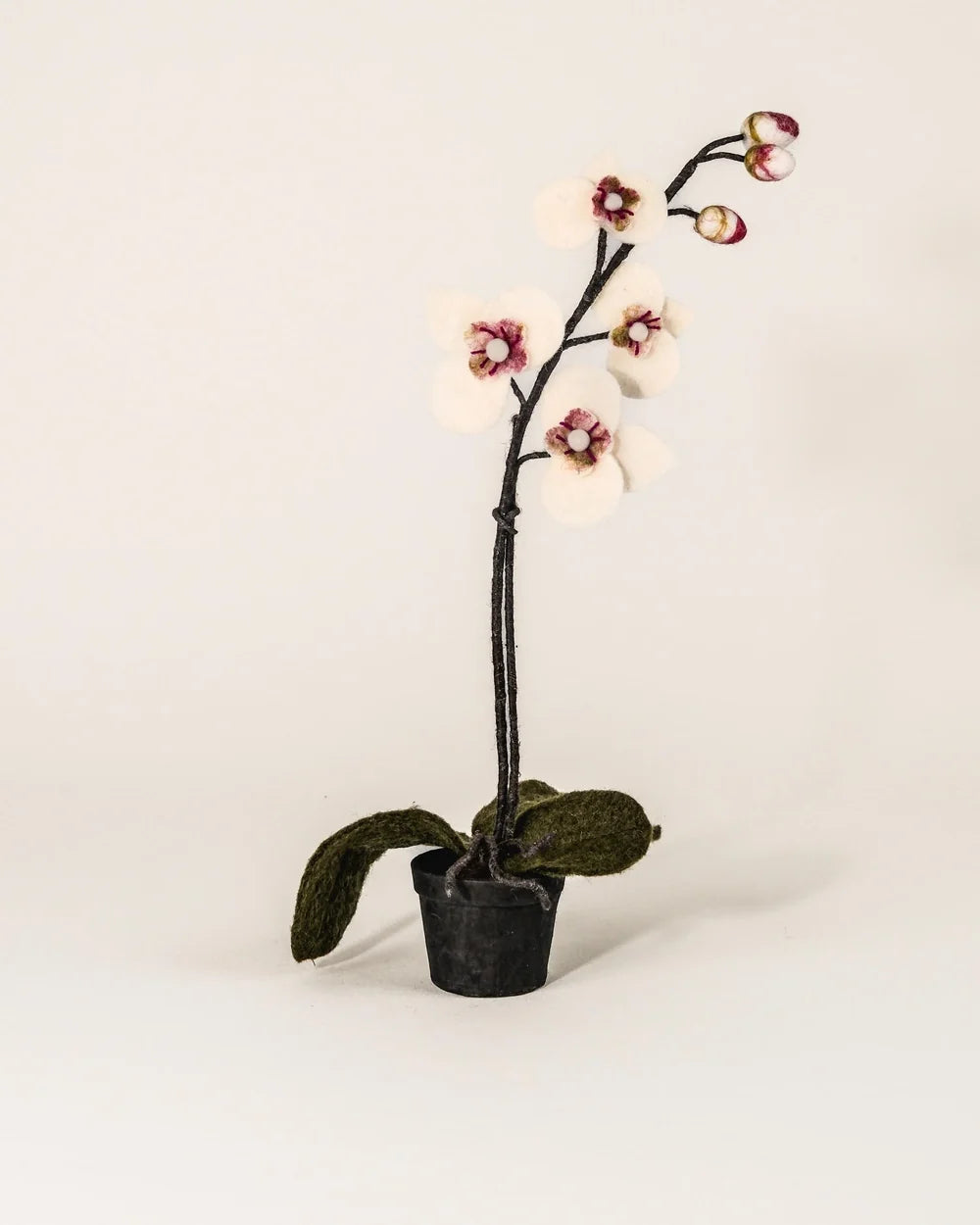 ORCHIDEE - LAINE FEUTREE BLANCHE