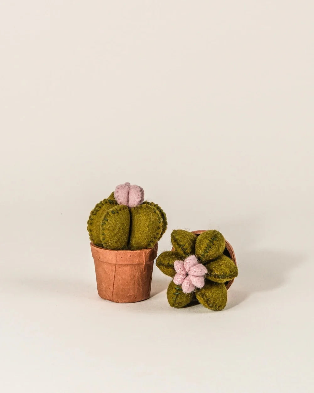CACTUS FLEUR - LAINE FEUTREE ROSE