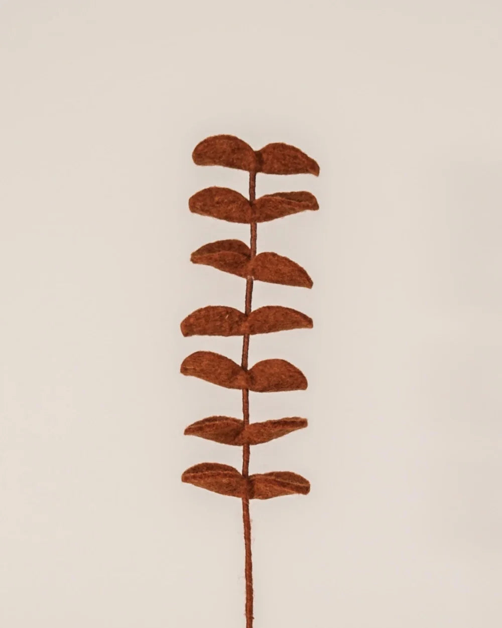 BRANCHE D'EUCALYPTUS MARRON - LAINE FEUTREE