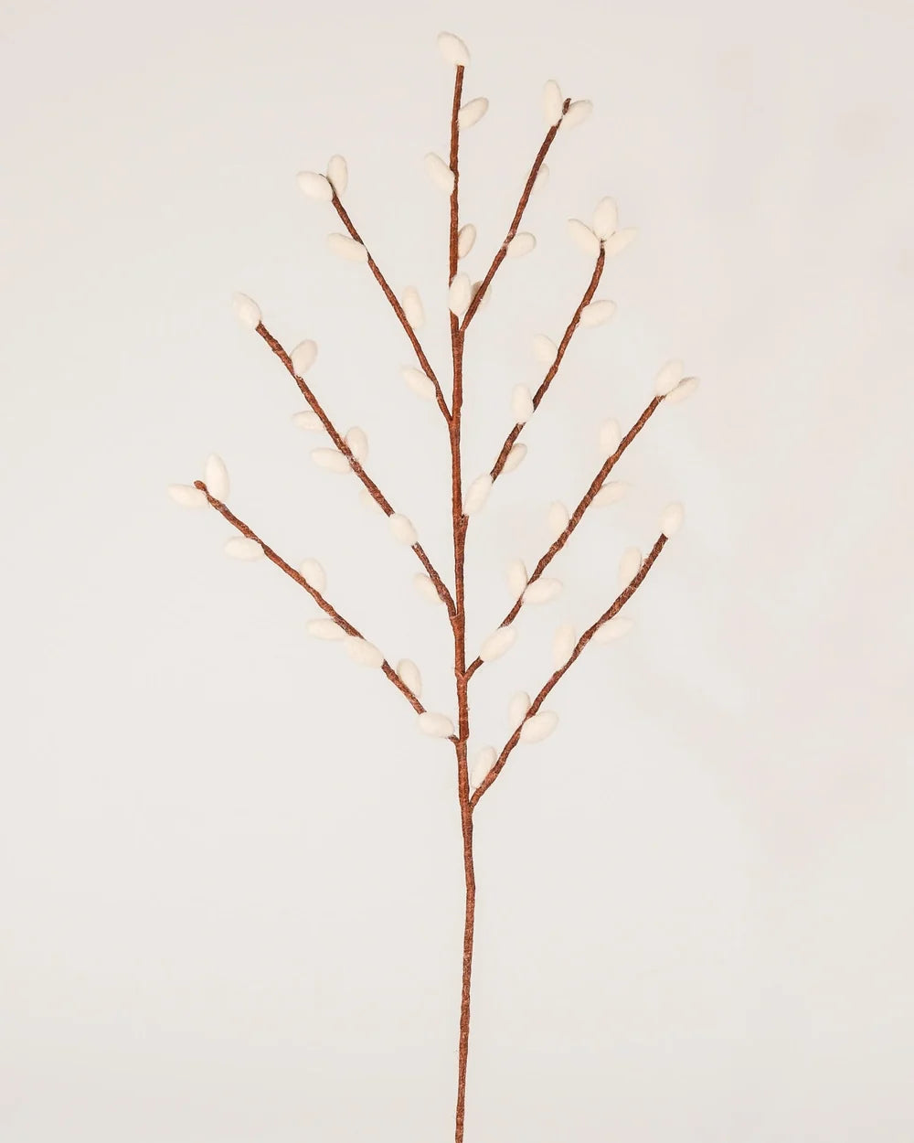 GEANTE BRANCHE DE CHATON DE SAULE MARRON - LAINE FEUTREE