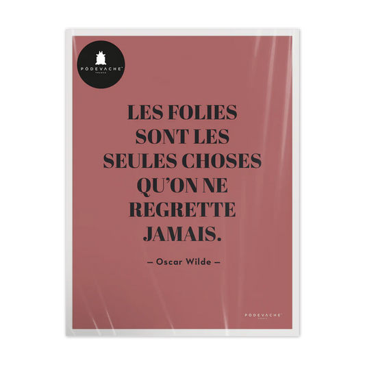 AFFICHE 30x40CM - FOLIES