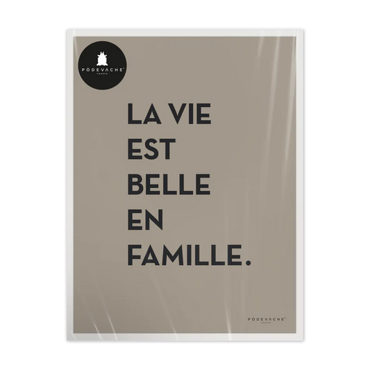AFFICHE 30x40CM - LA VIE EST BELLE