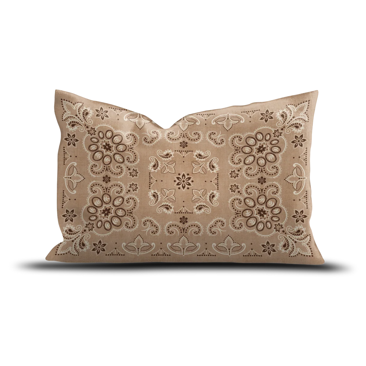 COUSSIN VELOURS CASIMIR - 4OX60CM