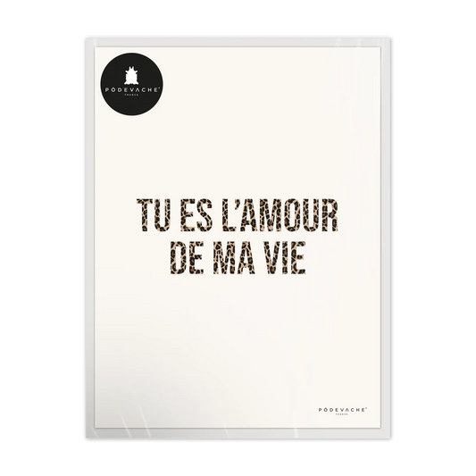 AFFICHE 30x40CM - L'AMOUR DE MA VIE