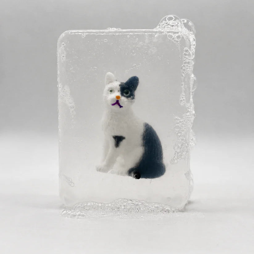 SAVON SOLIDE - CHAT